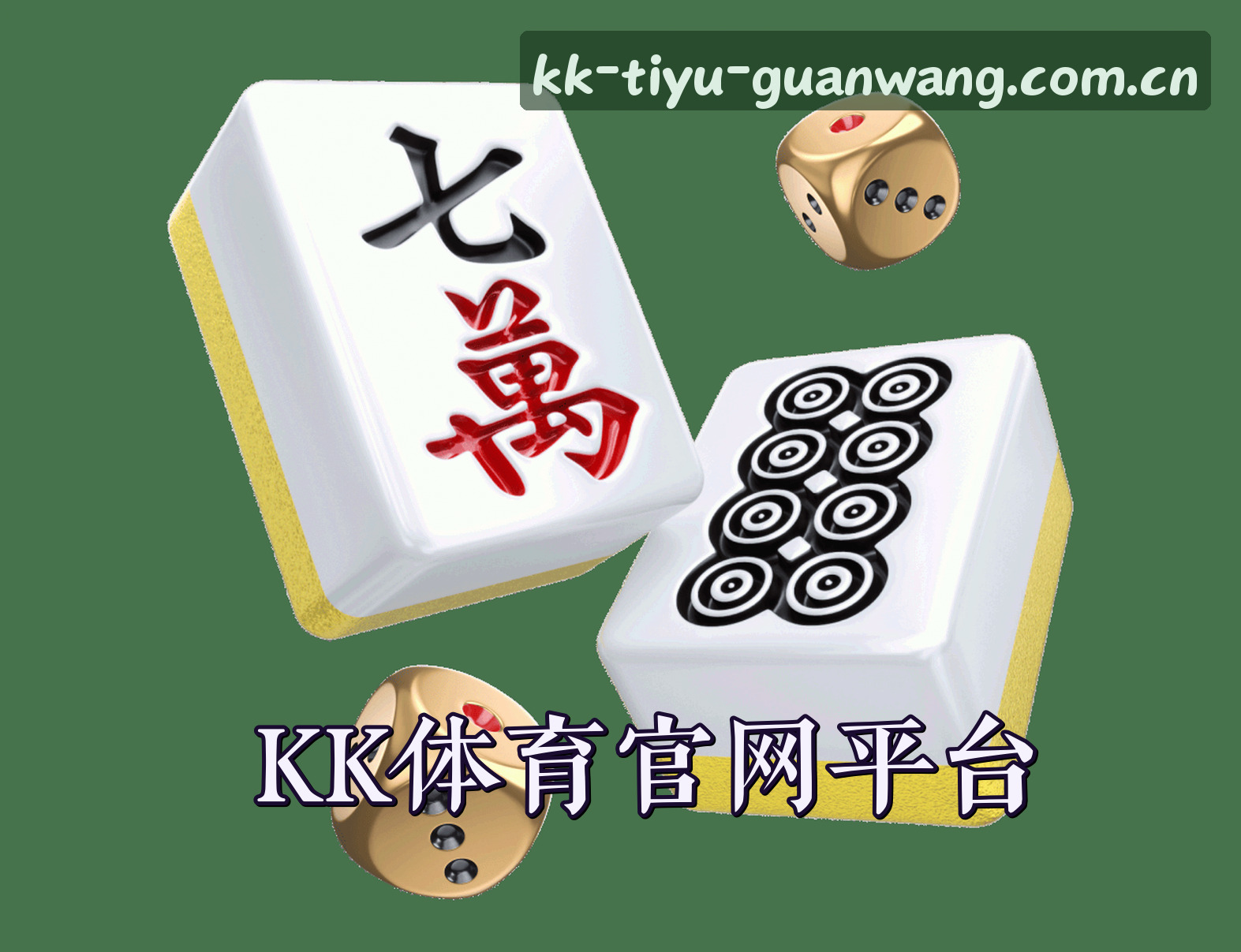 关于我们简介